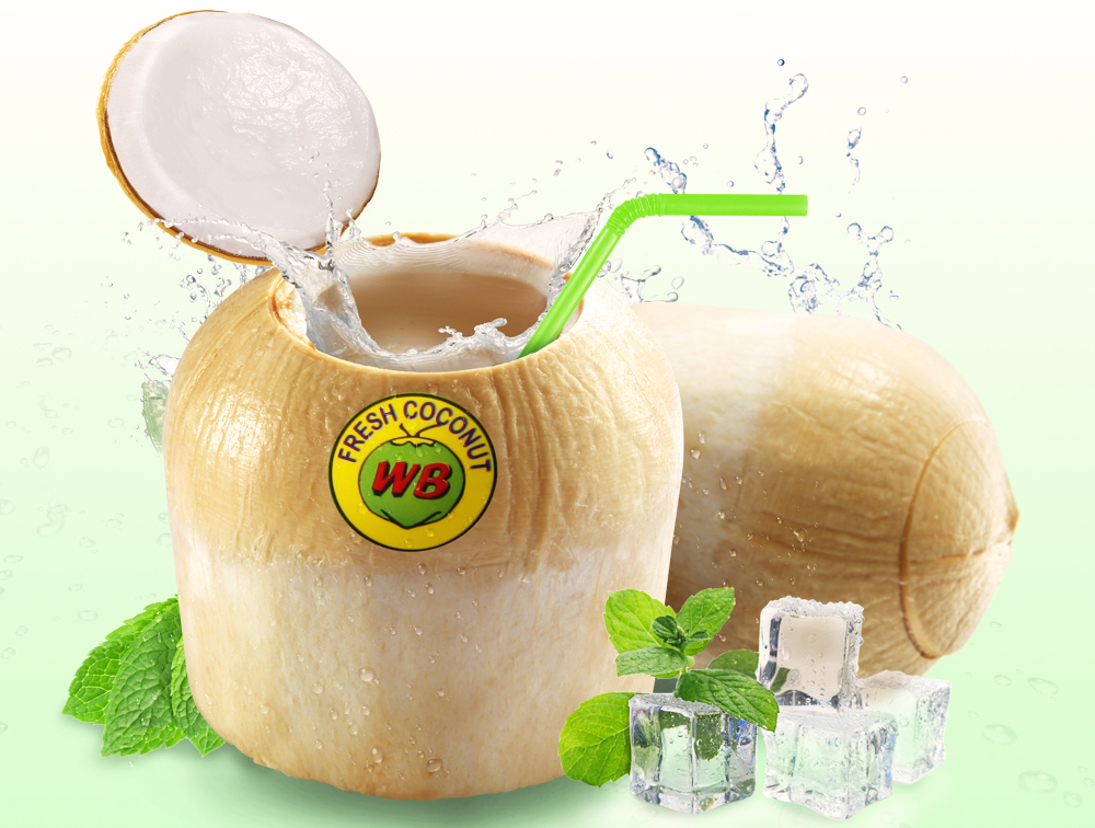 WB Coconut Product